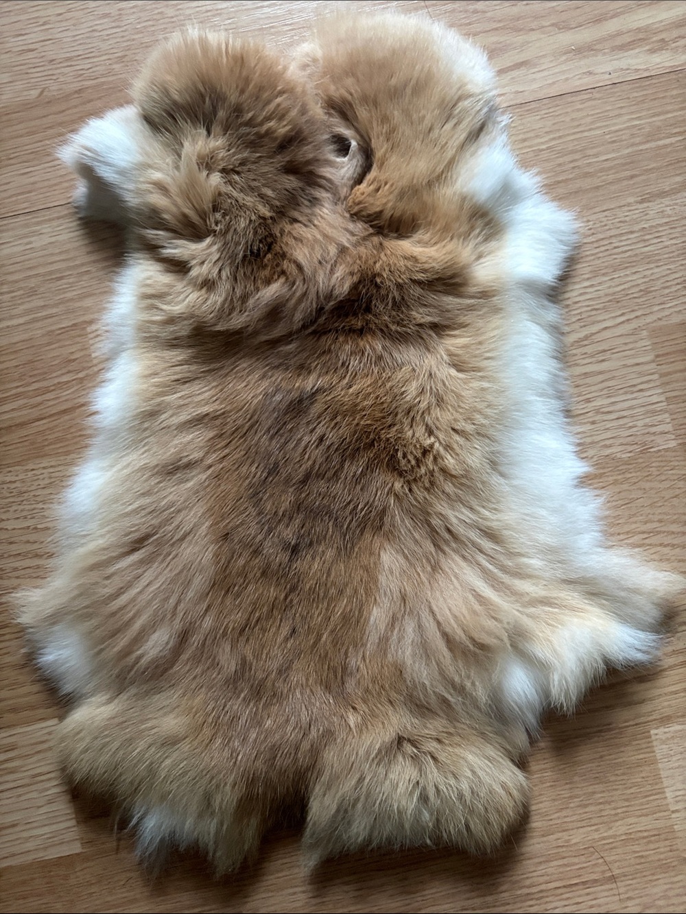 B0189 rabbit pelt